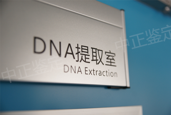 泰安孕期亲子鉴定基本流程,泰安怀孕亲子鉴定出结果时间